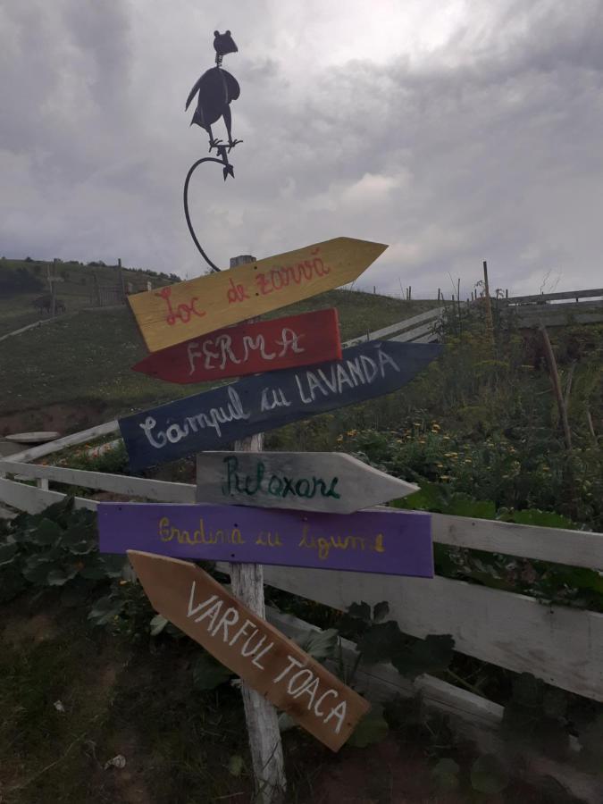 Pensiune Agroturism Casa Bori Gura Humorului Exterior foto