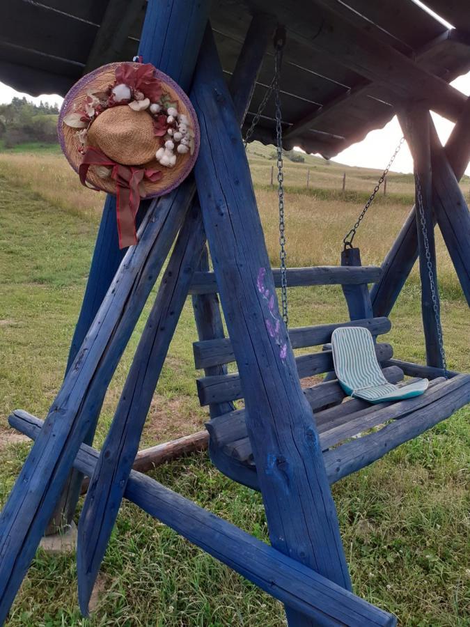 Pensiune Agroturism Casa Bori Gura Humorului Exterior foto