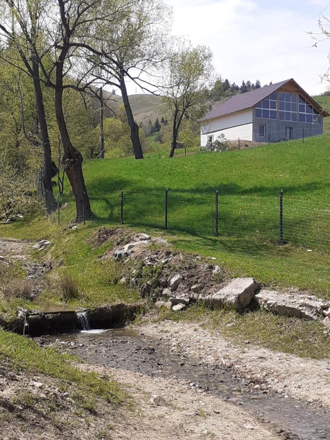 Pensiune Agroturism Casa Bori Gura Humorului Exterior foto