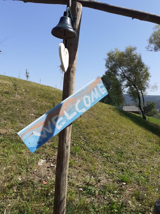 Pensiune Agroturism Casa Bori Gura Humorului Exterior foto