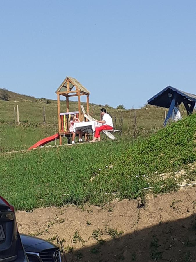 Pensiune Agroturism Casa Bori Gura Humorului Exterior foto