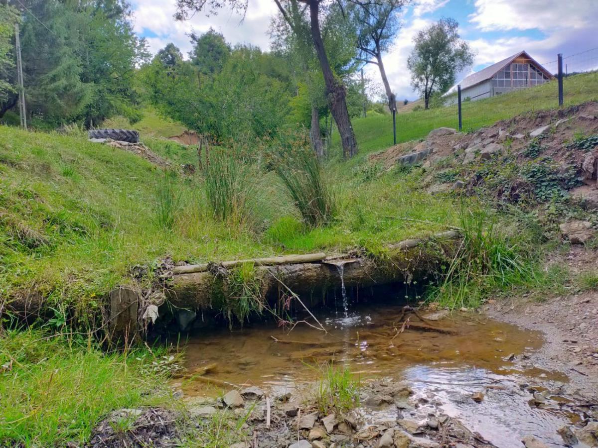 Pensiune Agroturism Casa Bori Gura Humorului Exterior foto